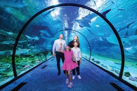 ABU DHABI AQUARIUM (NATIONAL AQUARIUM)