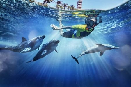 SWIMMING WITH DOLPHINS (ATLAS VILLAGE) AQUAVENTURE