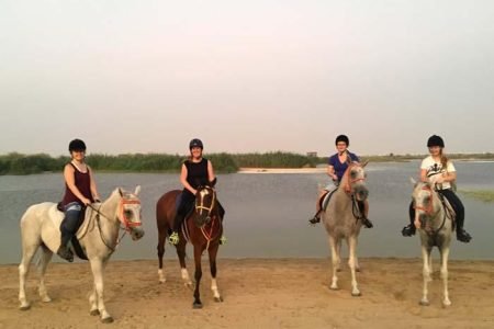 HORSEBACK RIDING